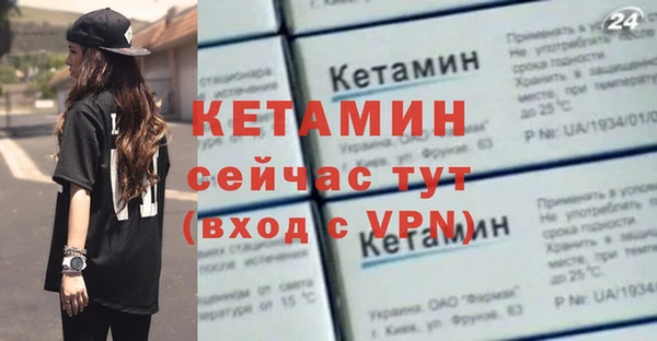 гашик Новодвинск