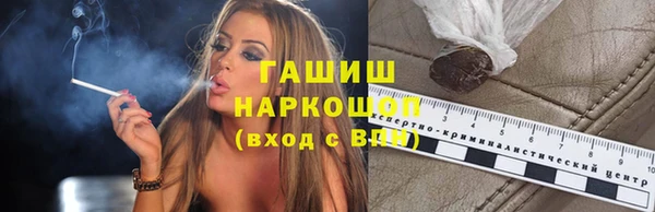 гашик Новодвинск