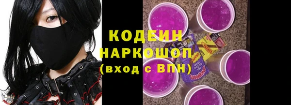 гашик Новодвинск