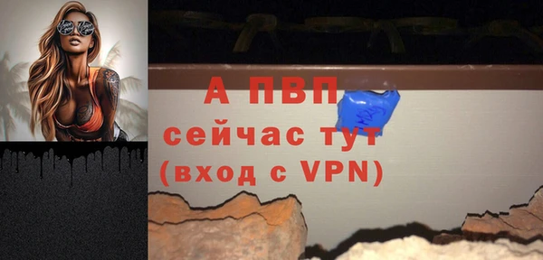 гидропоника Новозыбков