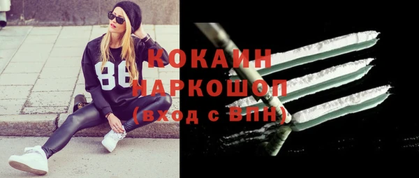 гидропоника Новозыбков