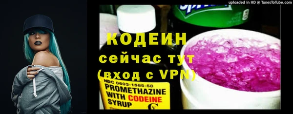 гашик Новодвинск
