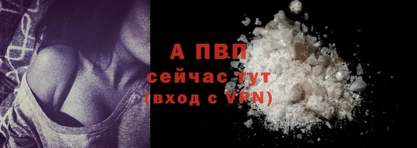 гидропоника Новозыбков