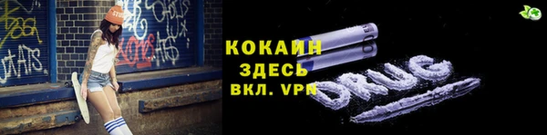 гидропоника Новозыбков