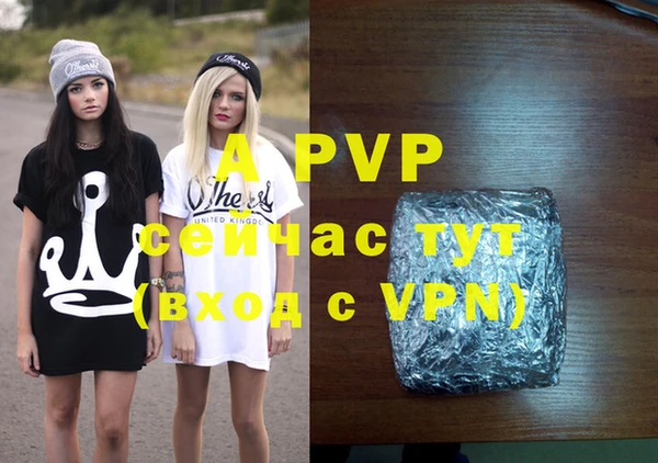 гашик Новодвинск