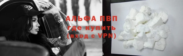 гидропоника Новозыбков