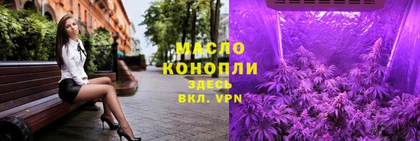 гашик Новодвинск