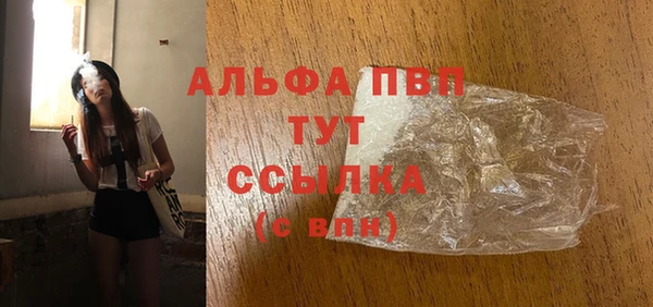 прущие грибы Новокубанск