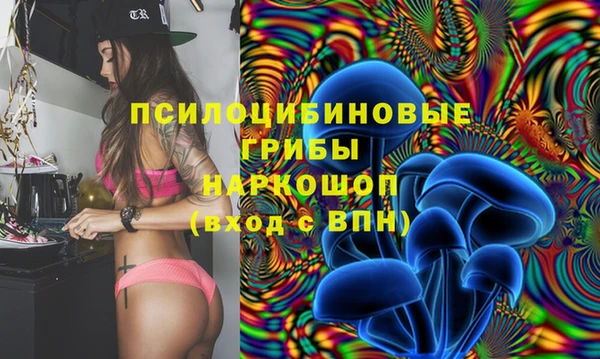 гашик Новодвинск