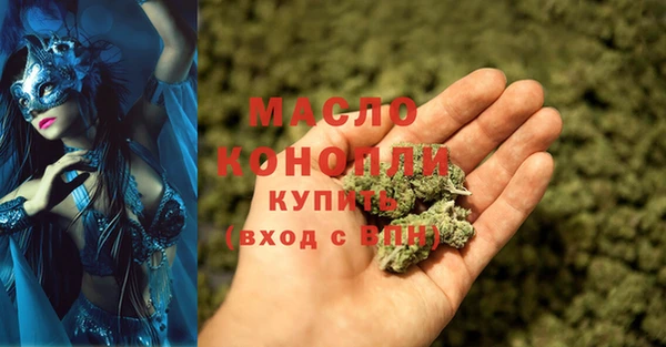 гашик Новодвинск