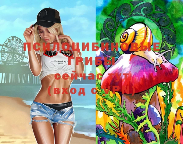 гашик Новодвинск