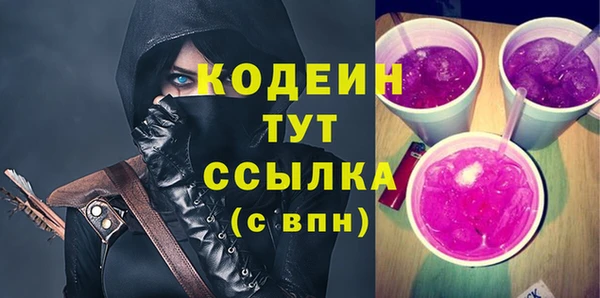 гашик Новодвинск
