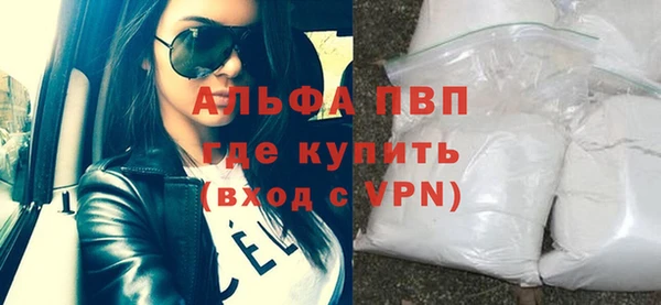 прущие грибы Новокубанск