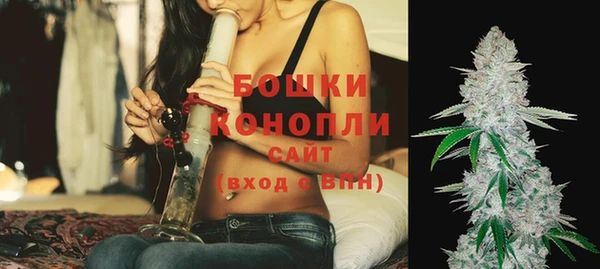 прущие грибы Новокубанск