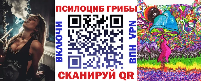 Псилоцибиновые грибы MAGIC MUSHROOMS  дарк нет формула  Арсеньев  где продают наркотики  мега маркетплейс 