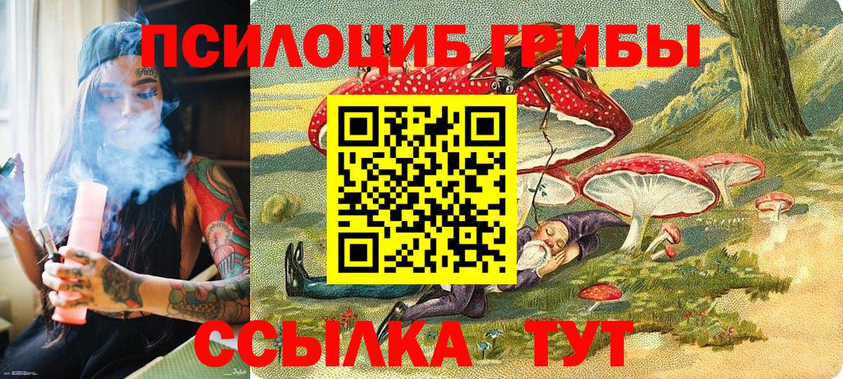Псилоцибиновые грибы GOLDEN TEACHER Арсеньев